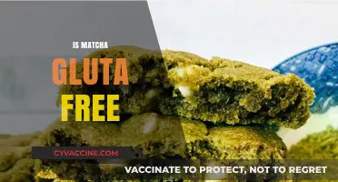 Is Matcha Gluten-Free? Uncovering the Truth for Celiac Diets