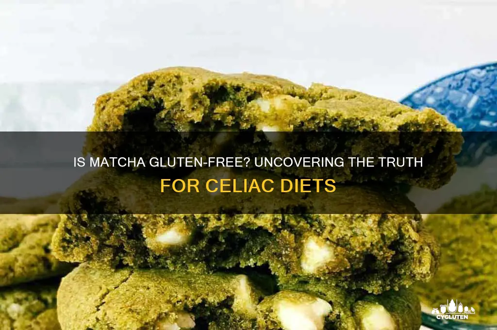 is matcha gluta free