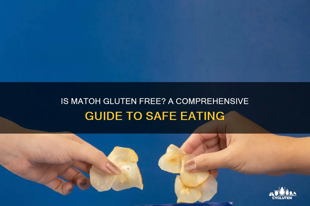is matoh gluten free