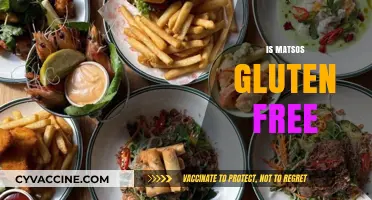 Are Matsos Gluten-Free? Unraveling the Truth for Celiac Diets