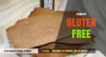 Is Matza Gluten-Free? Unraveling the Truth for Dietary Needs