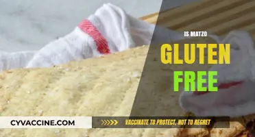 Is Matzo Gluten-Free? Unraveling the Truth for Celiac Diets