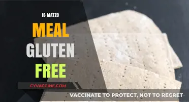 Is Matzo Meal Gluten-Free? Understanding Ingredients and Alternatives