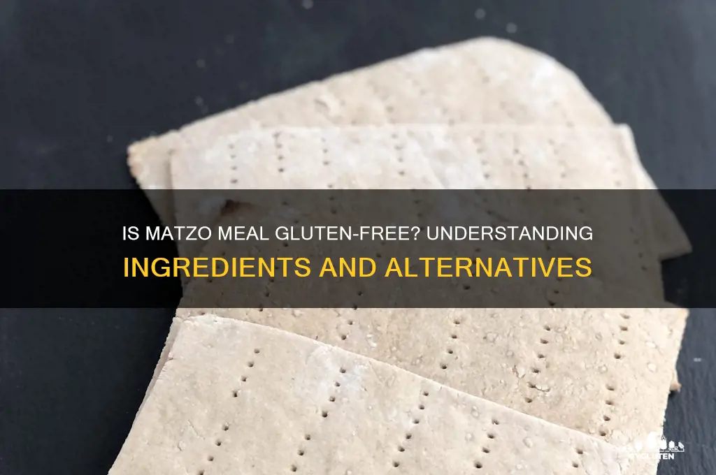 is matzo meal gluten free