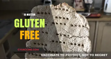 Is Matzoh Gluten-Free? Unraveling Passover Dietary Restrictions and Options
