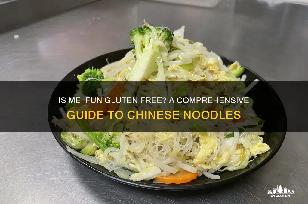 is mei fun gluten free