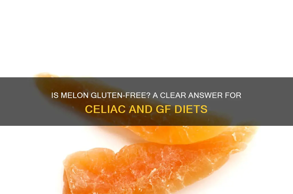 is melon gluten free