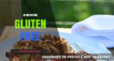 Is Metatone Gluten-Free? A Comprehensive Guide to Its Ingredients