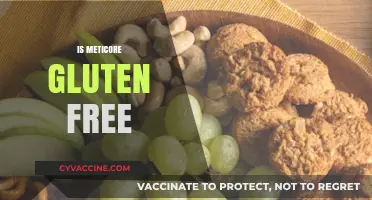 Is Meticore Gluten-Free? A Comprehensive Guide to Its Ingredients