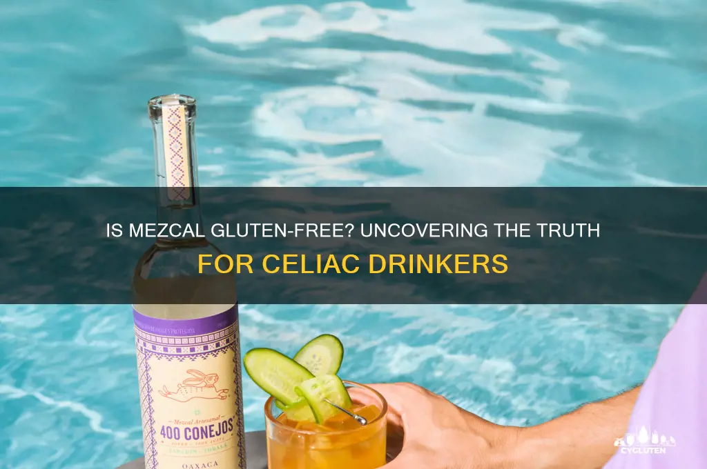 is mezcal gluten-free
