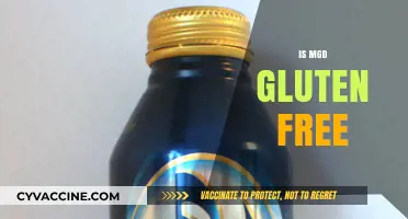 Is MGD Gluten-Free? Uncovering the Truth About This Popular Beer
