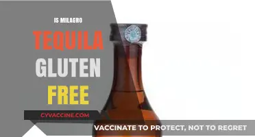 Is Milagro Tequila Gluten-Free? A Complete Guide for Tequila Lovers