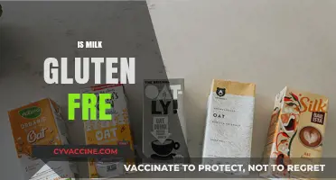 Is Milk Gluten-Free? Understanding Dairy and Gluten-Free Diets