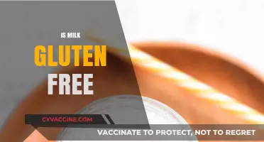 Is Milk Gluten-Free? Understanding Dairy and Gluten-Free Diets