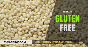 Is Miller Gluten-Free? Uncovering the Truth About Miller Products