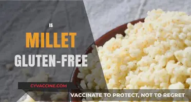 Is Millet Gluten-Free? Uncovering the Truth for Celiac Diets