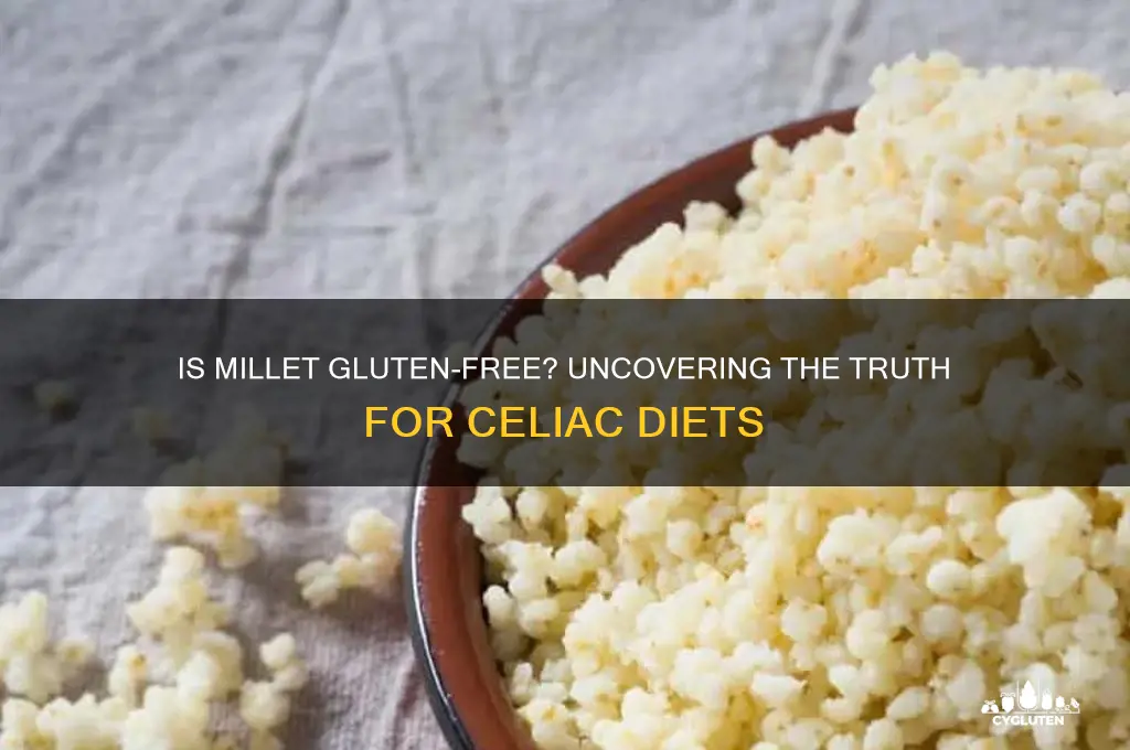 is millet gluten-free