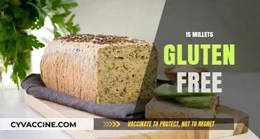 Are Millets Gluten-Free? Uncovering the Truth for a Healthy Diet