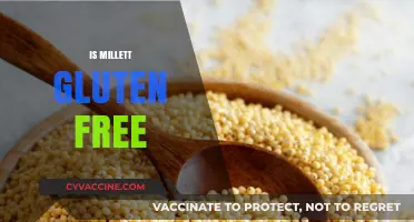 Is Millet Gluten-Free? A Complete Guide to Millet's Benefits