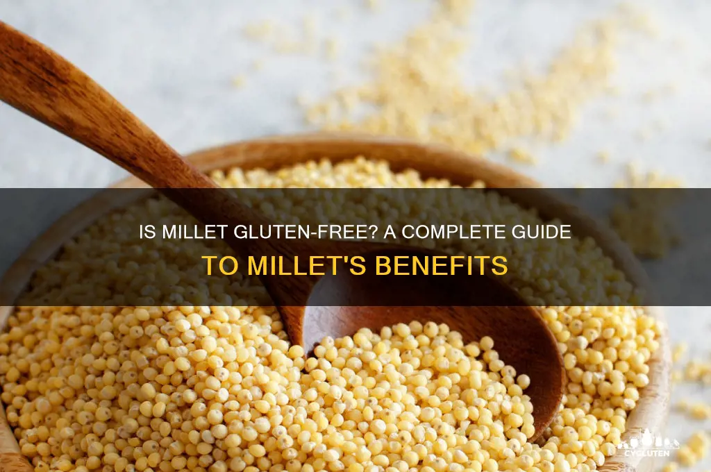 is millett gluten free