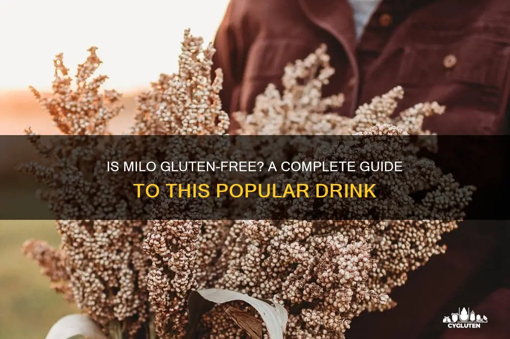 is milo gluten free