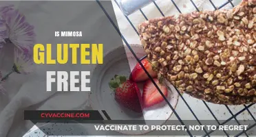 Is Mimosa Gluten-Free? A Guide to Safe Brunch Choices
