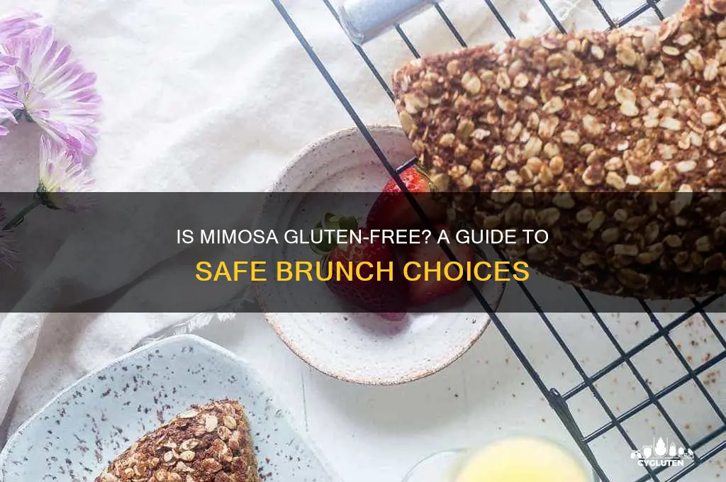 is mimosa gluten free