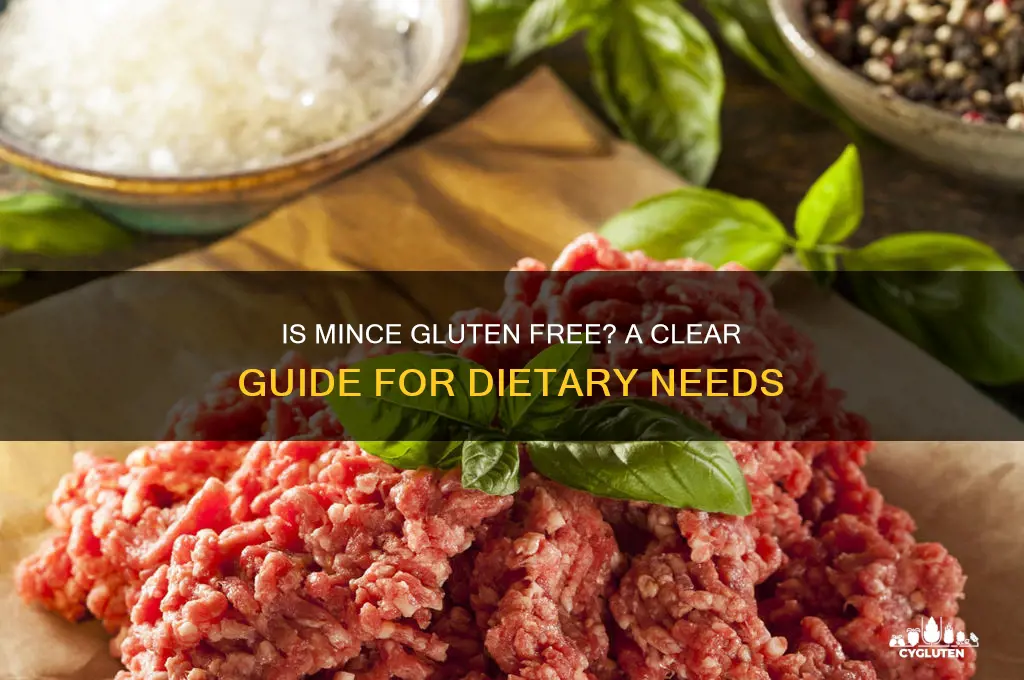 is mince gluten free