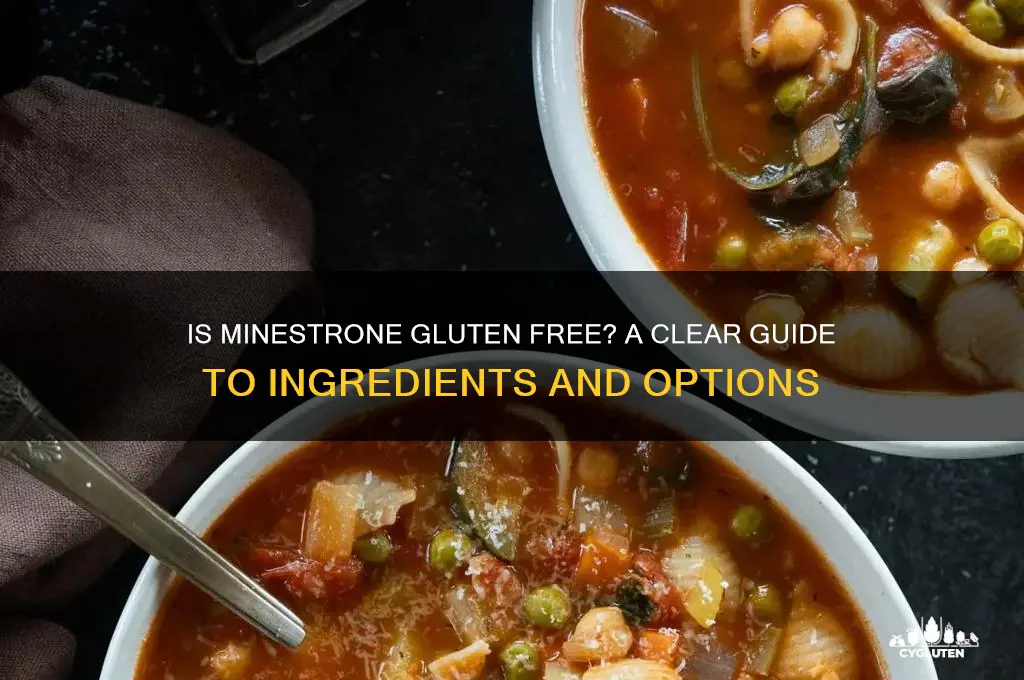 is minestrone gluten free