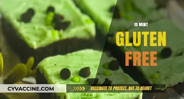 Is Mint Gluten Free? Exploring the Facts for a Healthy Diet