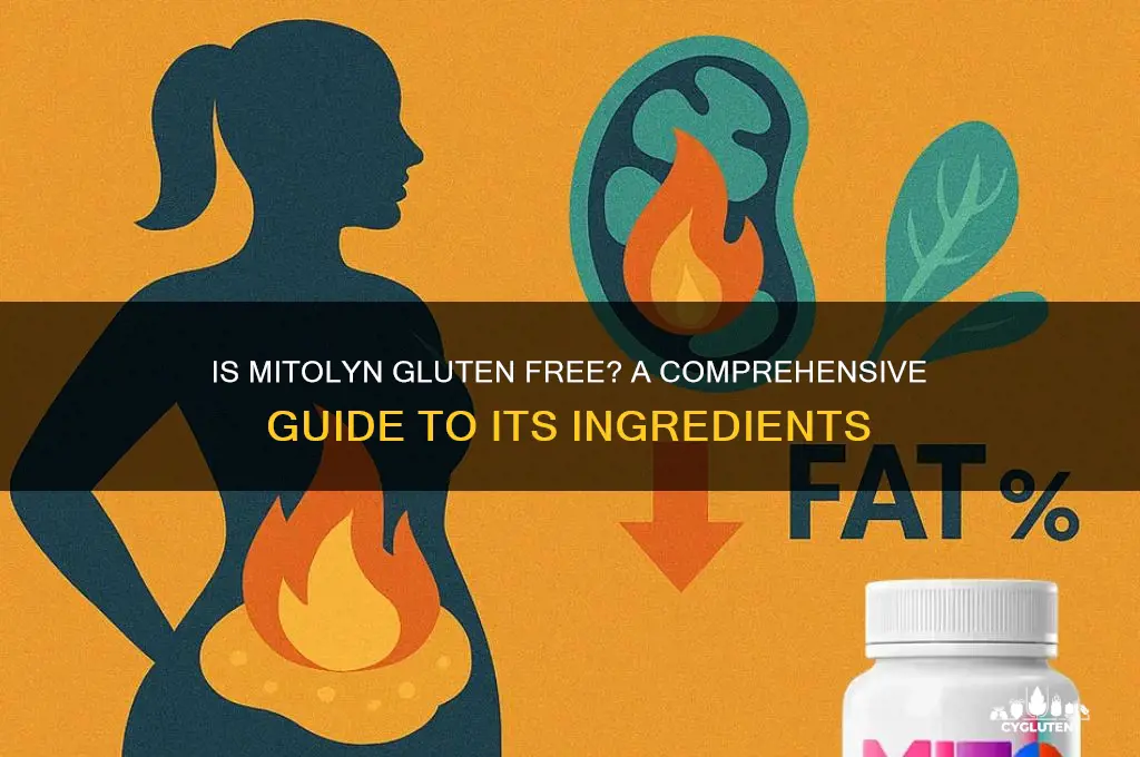 is mitolyn gluten free
