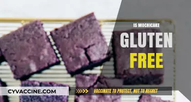 Is Mochicake Gluten-Free? Exploring Ingredients and Dietary Options