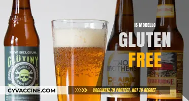 Is Modello Gluten-Free? Uncovering the Truth About This Popular Beer