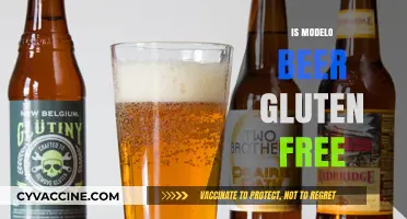 Is Modelo Beer Gluten-Free? Uncovering the Truth for Celiac Drinkers