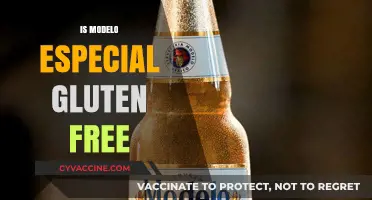 Is Modelo Especial Gluten-Free? A Complete Guide for Beer Lovers