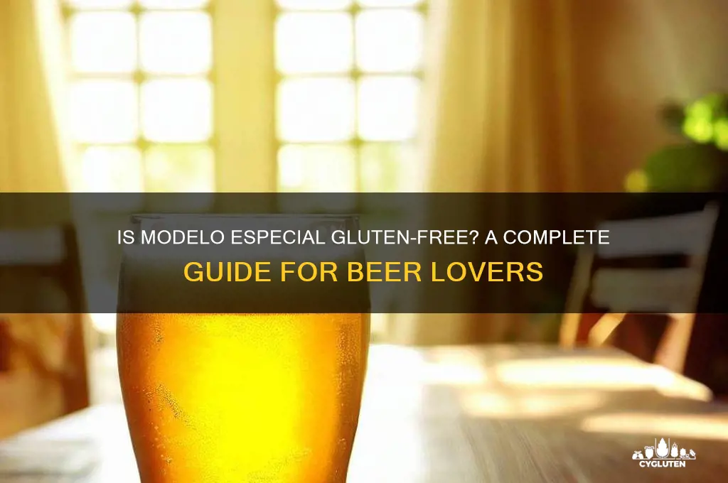 is modelo especial gluten free