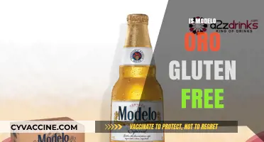 Is Modelo Oro Gluten-Free? A Complete Guide for Beer Lovers