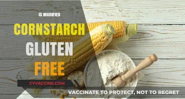 Is Modified Cornstarch Gluten-Free? Unraveling the Facts for Celiacs