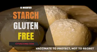Is Modified Starch Gluten-Free? Understanding Food Additives and Celiac Safety