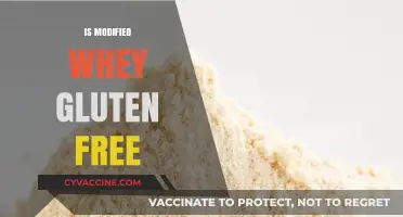 Is Modified Whey Gluten-Free? A Comprehensive Guide for Dieters