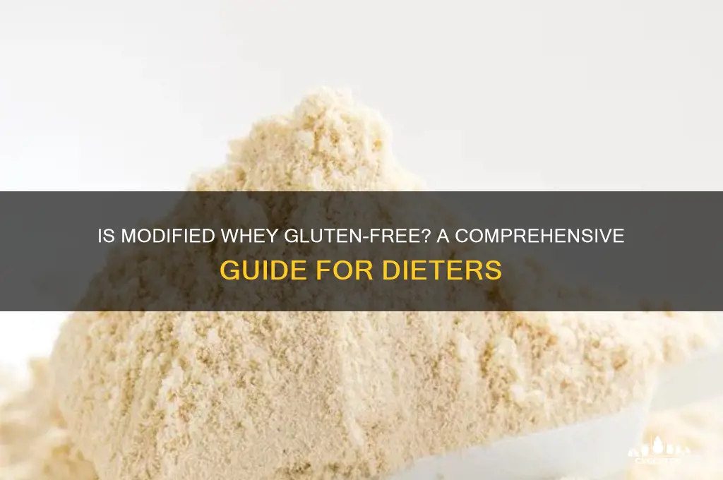 is modified whey gluten free