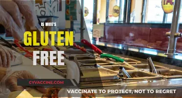 Is Moe's Gluten-Free? Exploring Menu Options for Celiac Diners