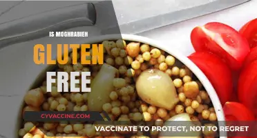 Is Moghrabieh Gluten Free? A Complete Guide to This Dish