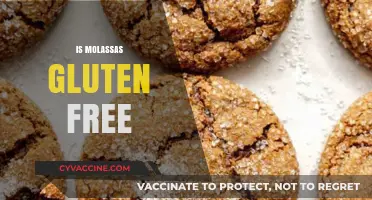 Is Molasses Gluten-Free? A Sweet and Simple Answer