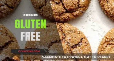 Is Molasses Gluten-Free? A Sweet and Simple Answer