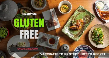 Is Momotaro Gluten Free? A Comprehensive Guide to Soy Sauce Noodles