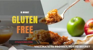 Is Monat Gluten Free? Uncovering the Truth About Ingredients
