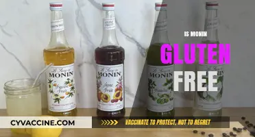 Is Monin Gluten-Free? A Complete Guide to Syrup Safety