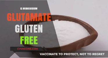 Is Monosodium Glutamate Gluten-Free? Unraveling the Facts for Celiacs