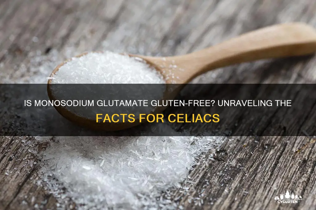 is monosodium glutamate gluten free